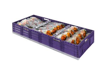 flower-boxes