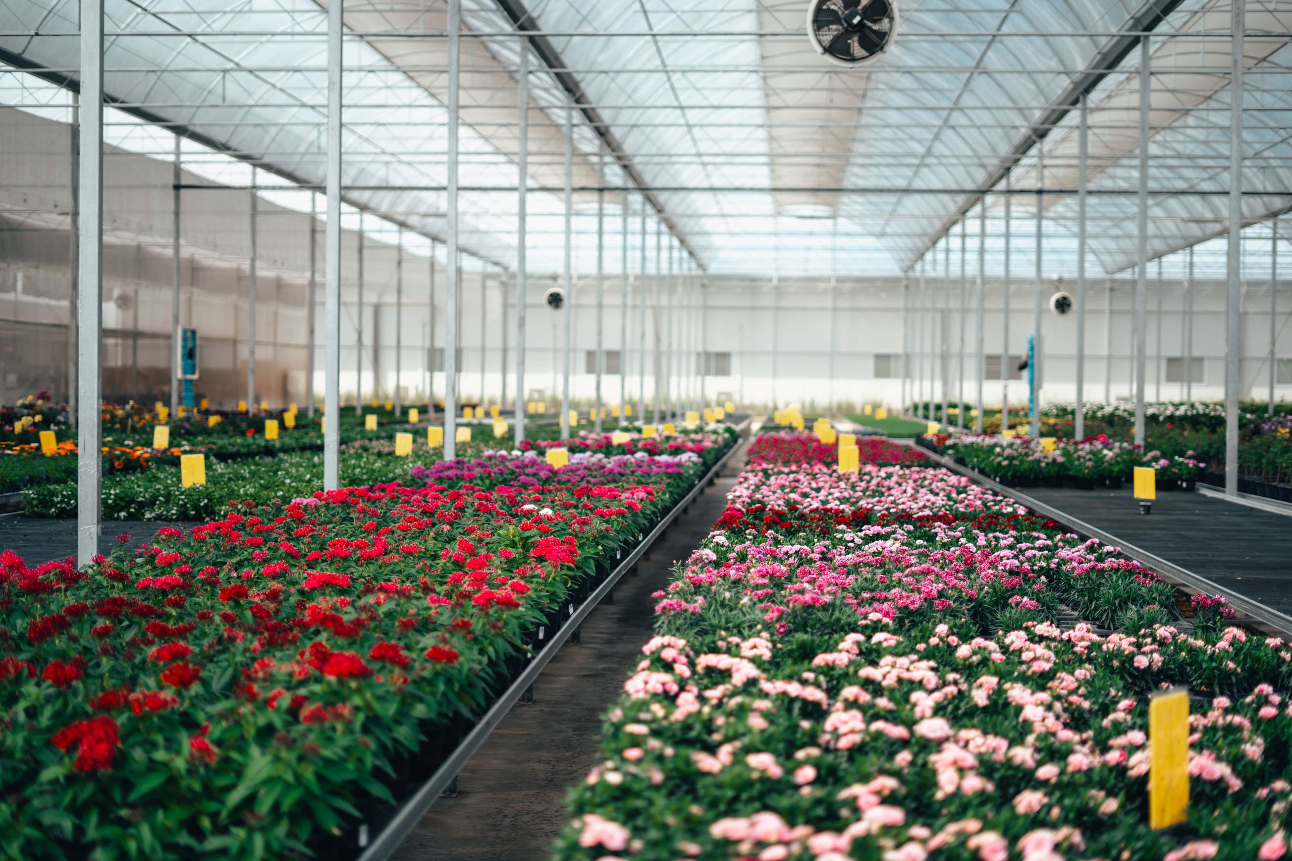 Greenport Aalsmeer - Circular Plastics Alliance