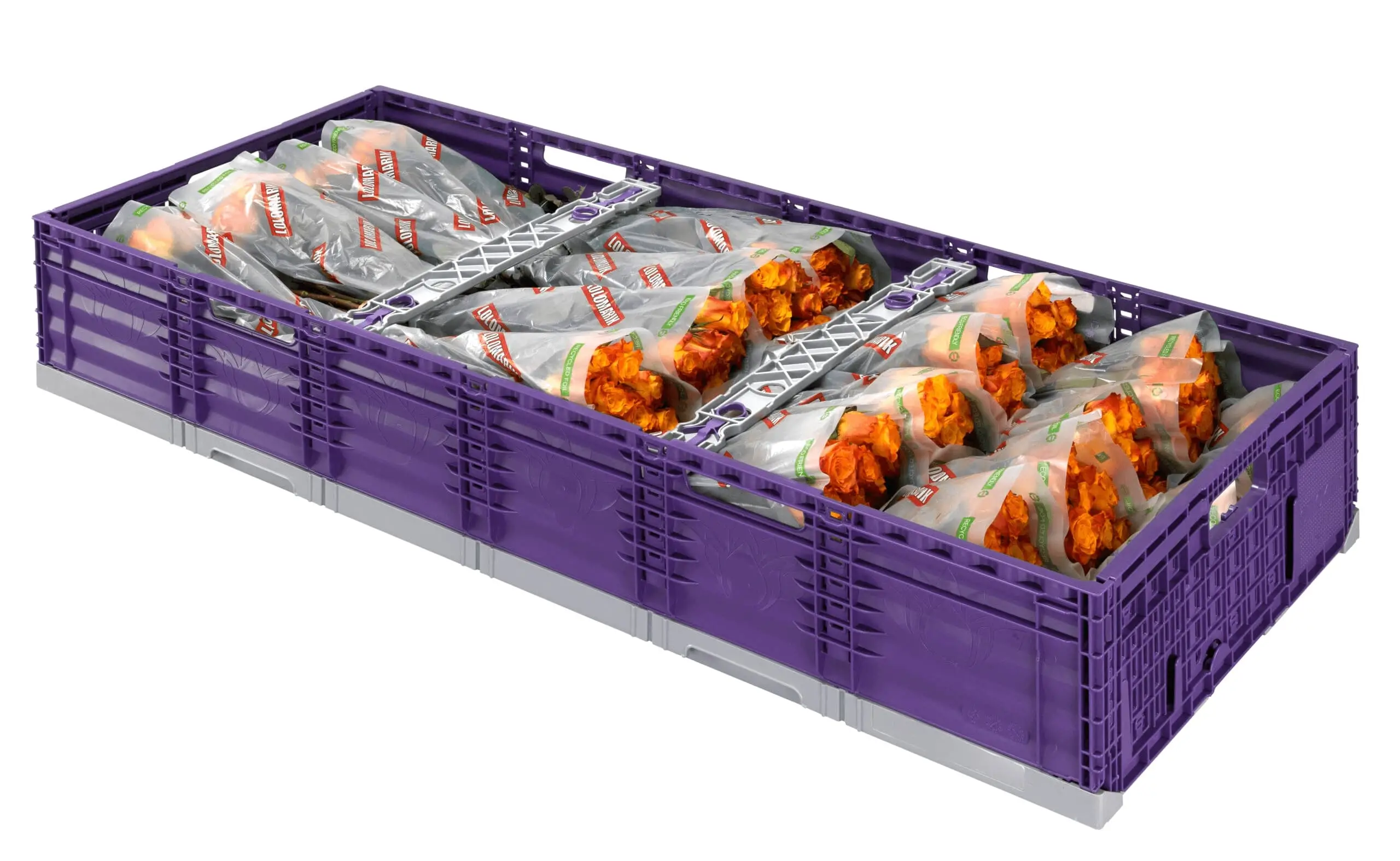CircPl-FECTb-bloemenbruggen_0066-1-geschaald-v2