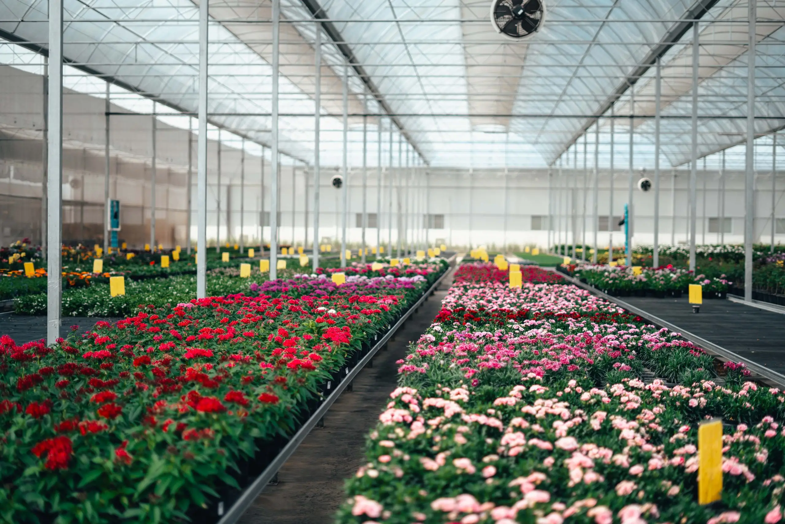 Greenport Aalsmeer - Circular Plastics Alliance