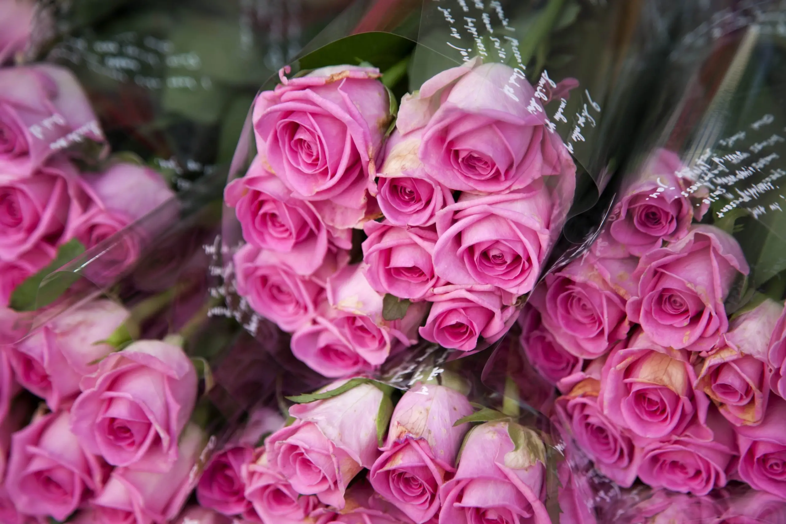 Fresco bloemen - Circular Plastics Alliance