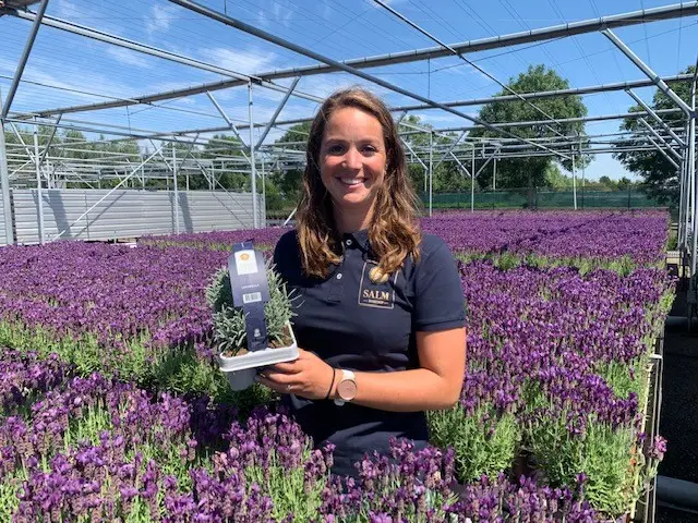 Gerecyclede etiketten van der Salm