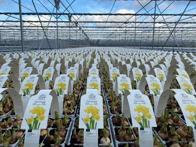 Gerecyclede etiketten van der Salm tuinbouw